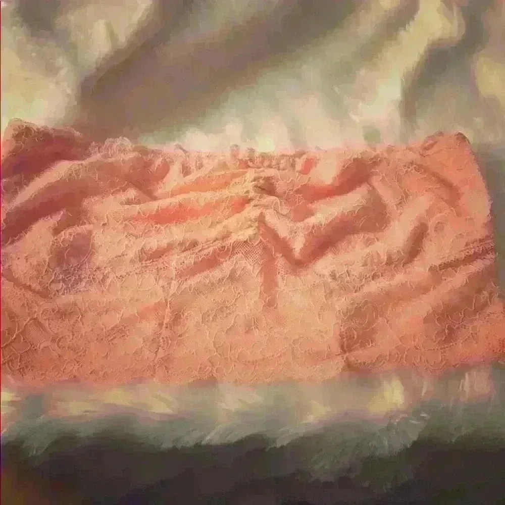 American eagle bralett